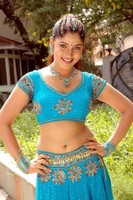 Actress Hot Navel Show Photos